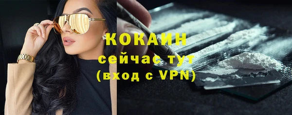 молекула духа Каменск-Шахтинский