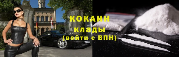 сатива Инсар