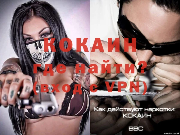 молекула духа Каменск-Шахтинский