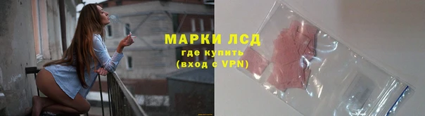 молекула духа Каменск-Шахтинский