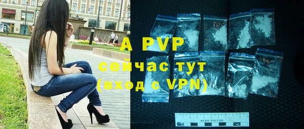сатива Инсар