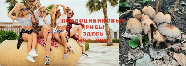 молекула духа Каменск-Шахтинский
