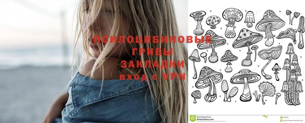молекула духа Каменск-Шахтинский