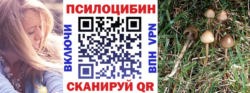 Псилоцибиновые грибы Magic Shrooms Моршанск