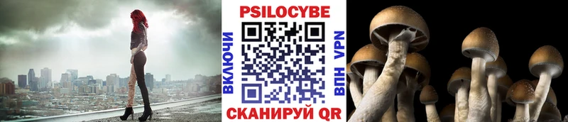Галлюциногенные грибы мухоморы  Купить  Моршанск 