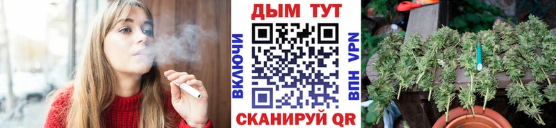 Купить закладки  Моршанск  Бошки марихуана Amnesia 